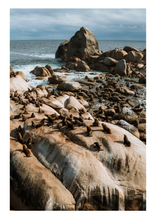 Load image into Gallery viewer, Photography Prints