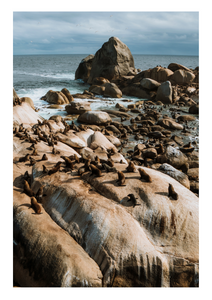 Photography Prints