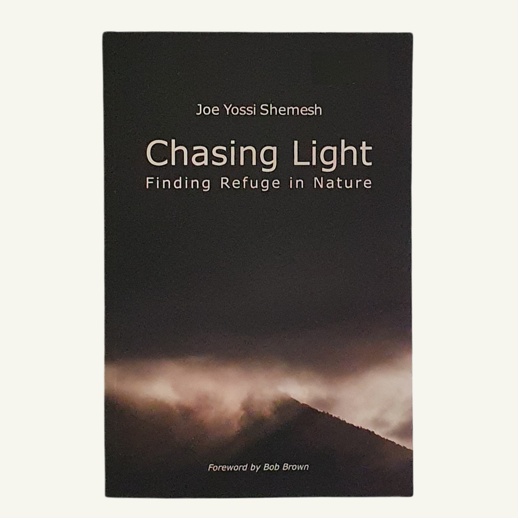 Chasing Light